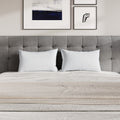 Craftporch Elegence 2 Pieces Pillow