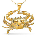 Curata 14K Yellow Gold Polished Open Back Blue Crab Pendant
