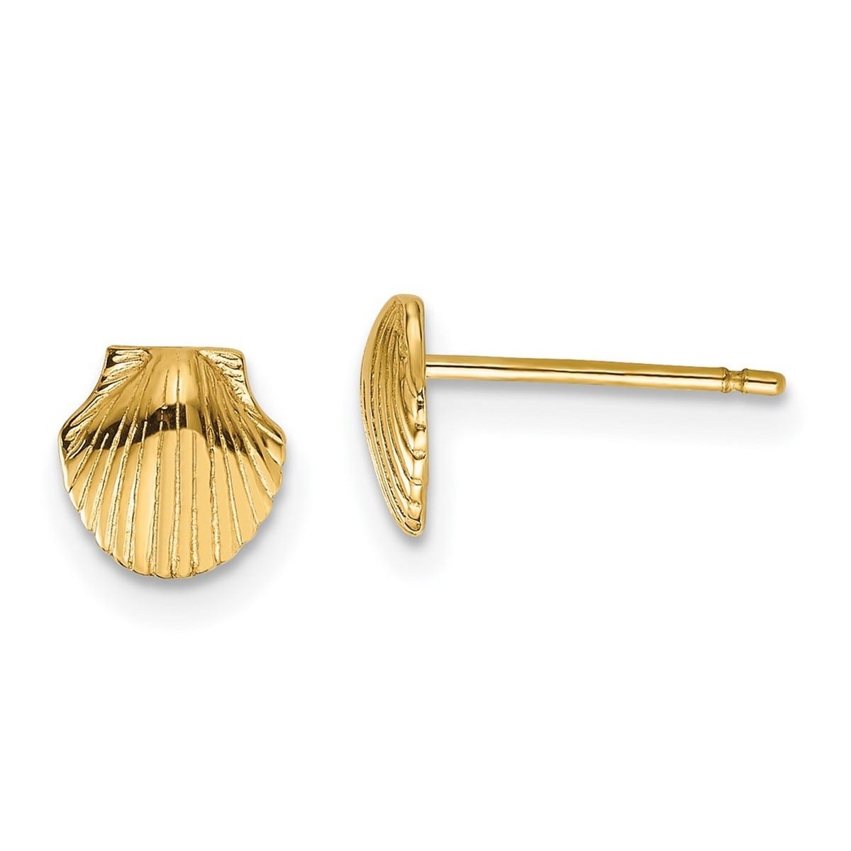 Curata Solid 14K Yellow Gold Small Scallop Shell Stud Earrings 7Mm Orange