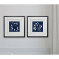 Cyanotype Botanical I 2 Piece Set