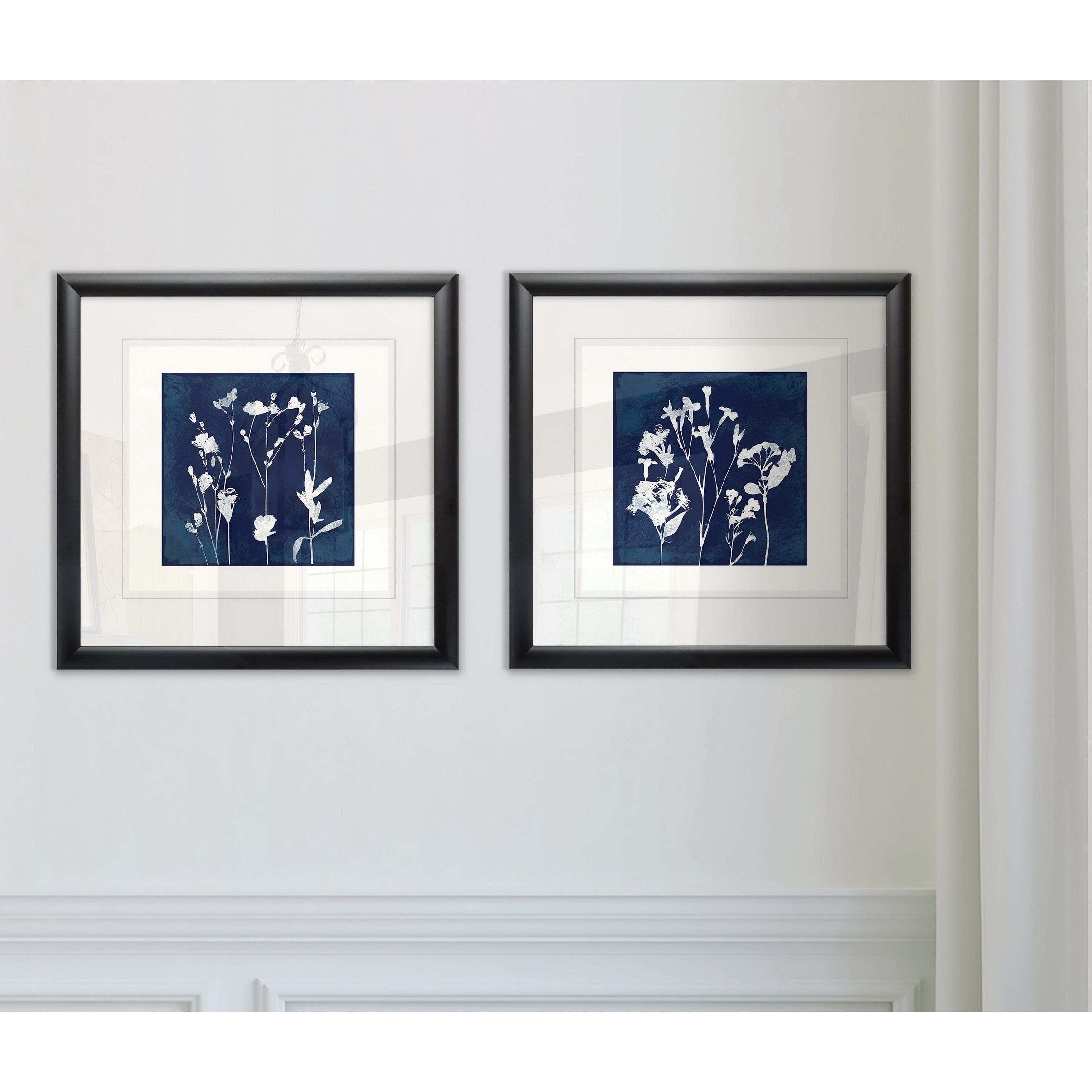 Cyanotype Botanical I Framed Set