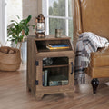 Carbon Loft Avital Rustic Reclaimed Oak Finish End Table