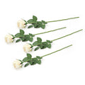 Dii Flower Closed Rose Cream Set Of 4