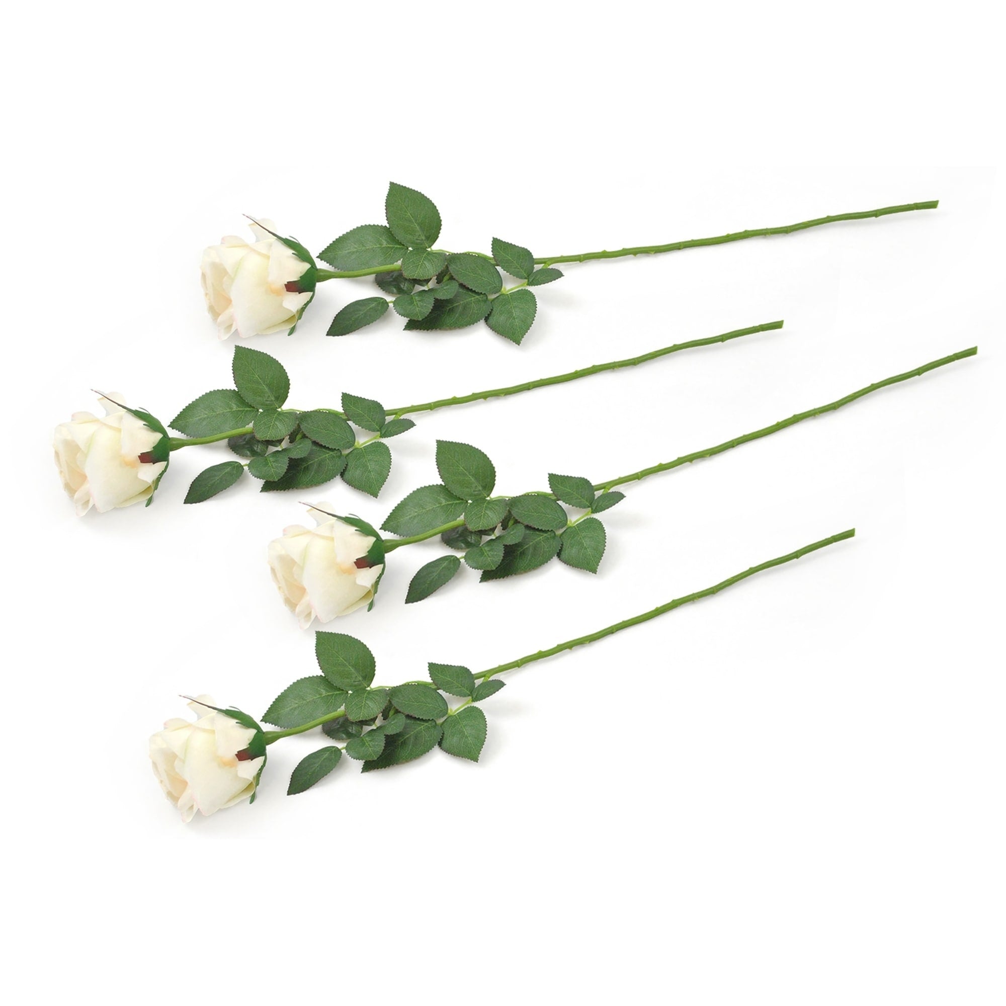 Dii Flower Closed Rose Cream Set Of 4