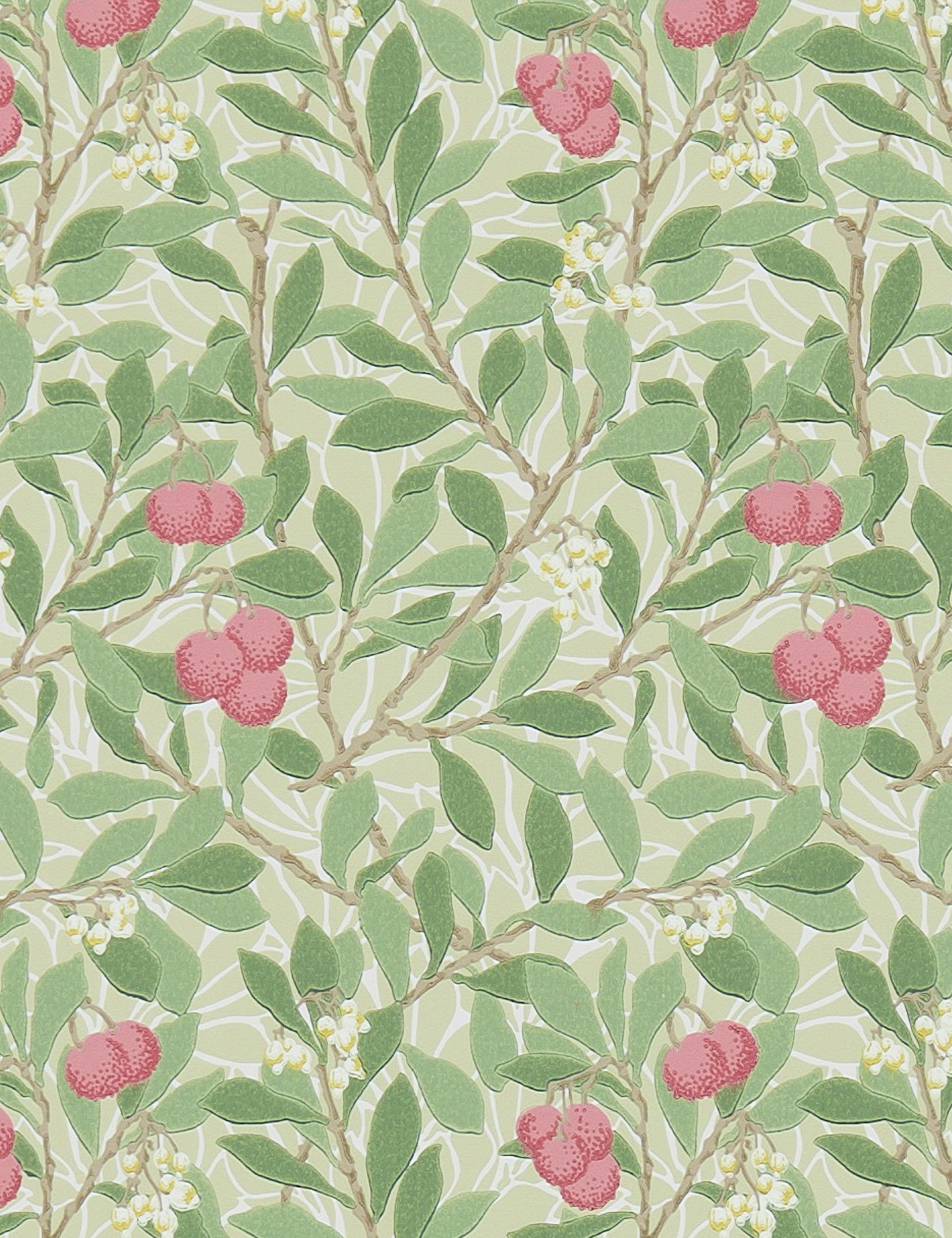 Arbutus Wallpaper by Morris & Co. Swatch, Olive And Pink
