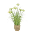 Dahlias And Grass In Strawgrass Planter 26