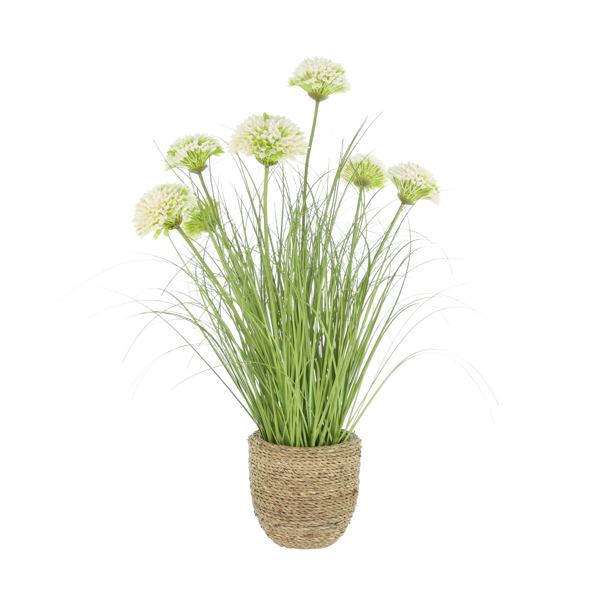 Dahlias And Grass In Strawgrass Planter 26