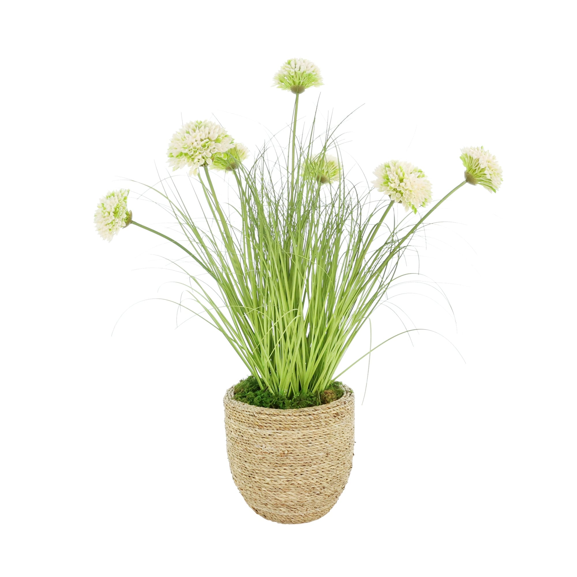 Dahlias And Grass In Strawgrass Pot 28