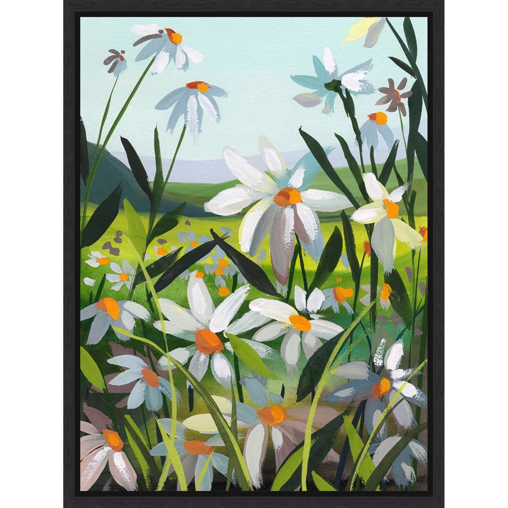 Daisies 3 By Brook Page Framed Canvas Wall Art Print