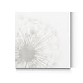 Dandelion Whisper I Premium Gallery Wrapped Canvas