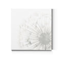 Dandelion Whisper Ii Premium Gallery Wrapped Canvas
