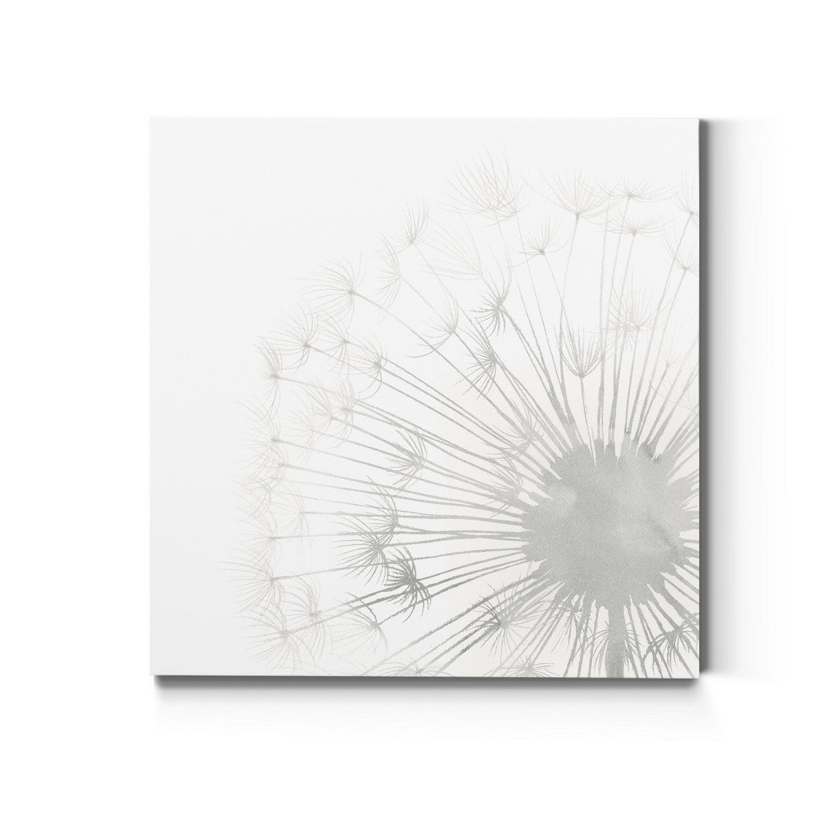 Dandelion Whisper Ii Premium Gallery Wrapped Canvas