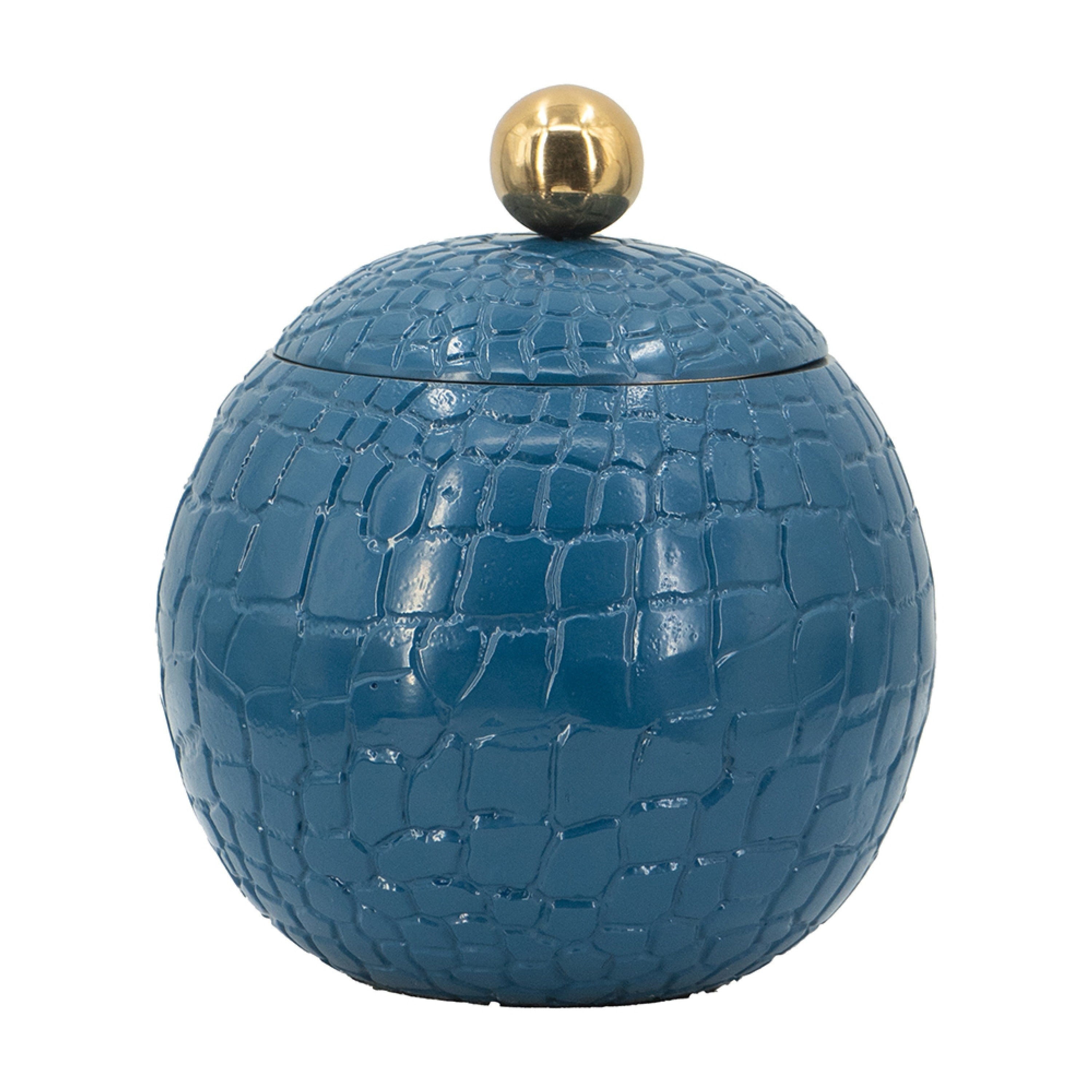 Dany Lidded Pot Crocodile Texture Watertight Base Blue Aluminum 9 Inch