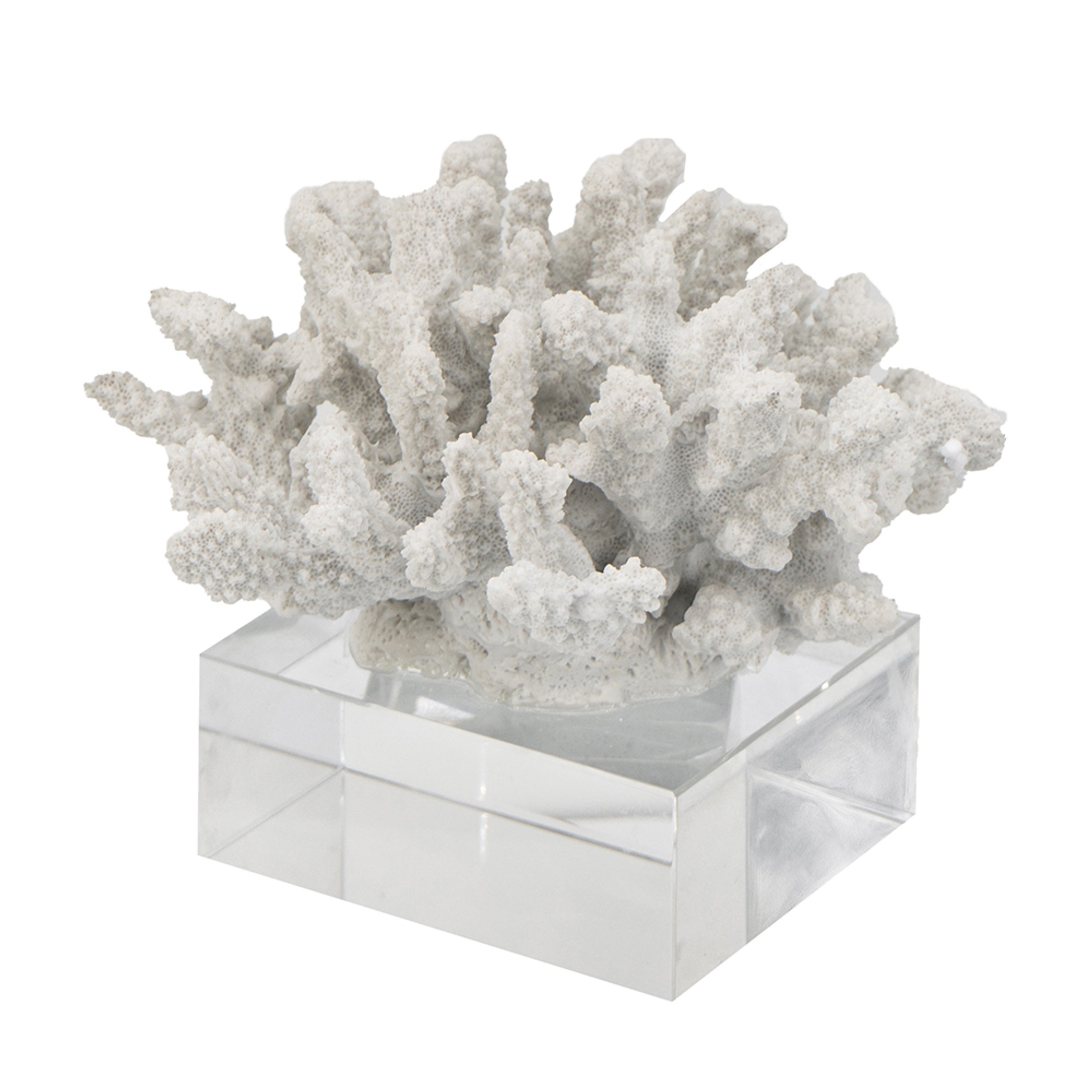 Davy Inna Faux Coral Accent Clear Glass Natural White Polyresin 8 Inch