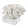 Davy Rising Faux Coral Accent Clear Glass Luxe White Polyresin 9 Inch