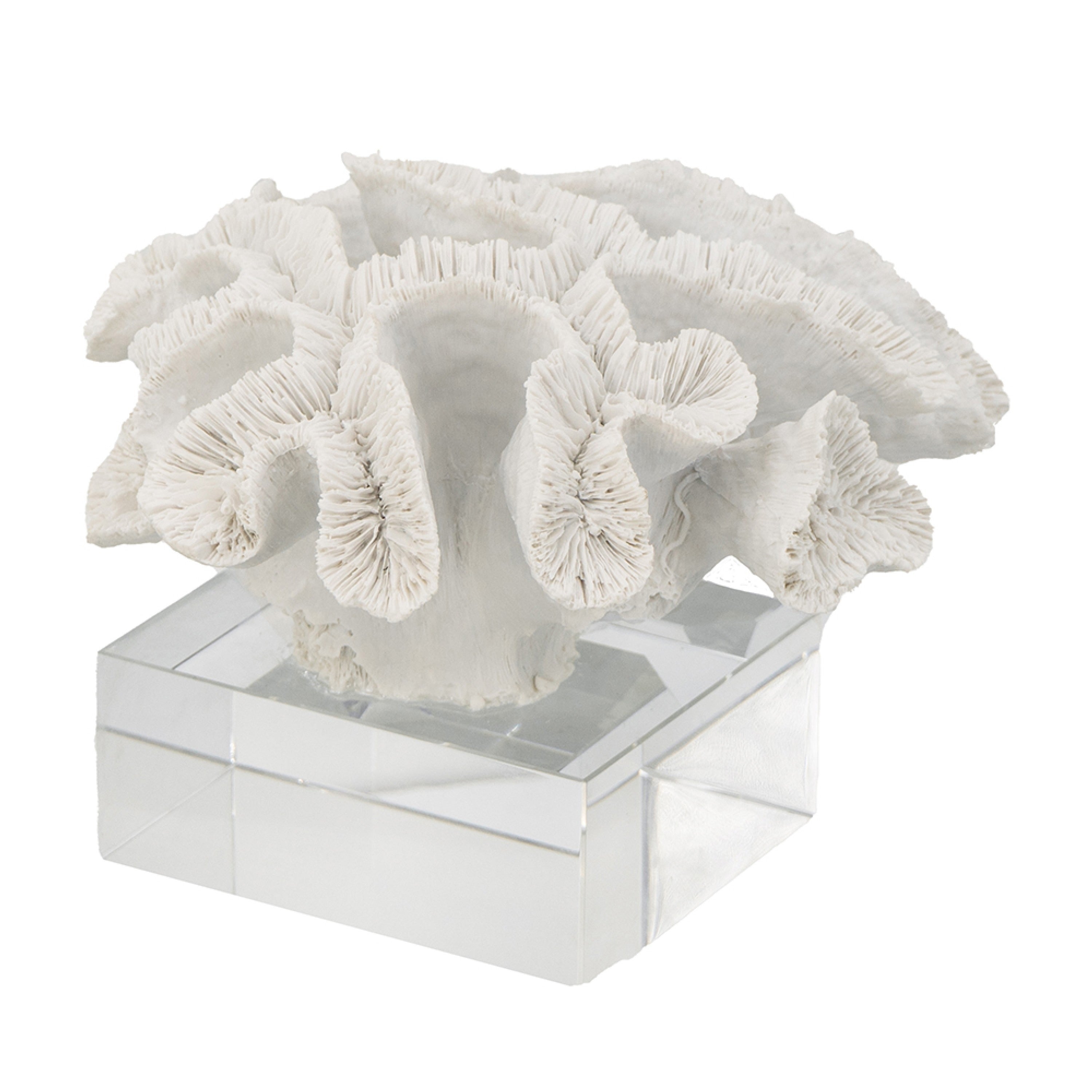 Davy Rising Faux Coral Accent Clear Glass Luxe White Polyresin 9 Inch