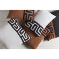 Decorative Alai 20 Inch Poly Or Feather Down Filled Throw Pillow