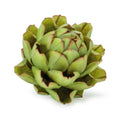 Decorative Artichoke Accent Set Of 4