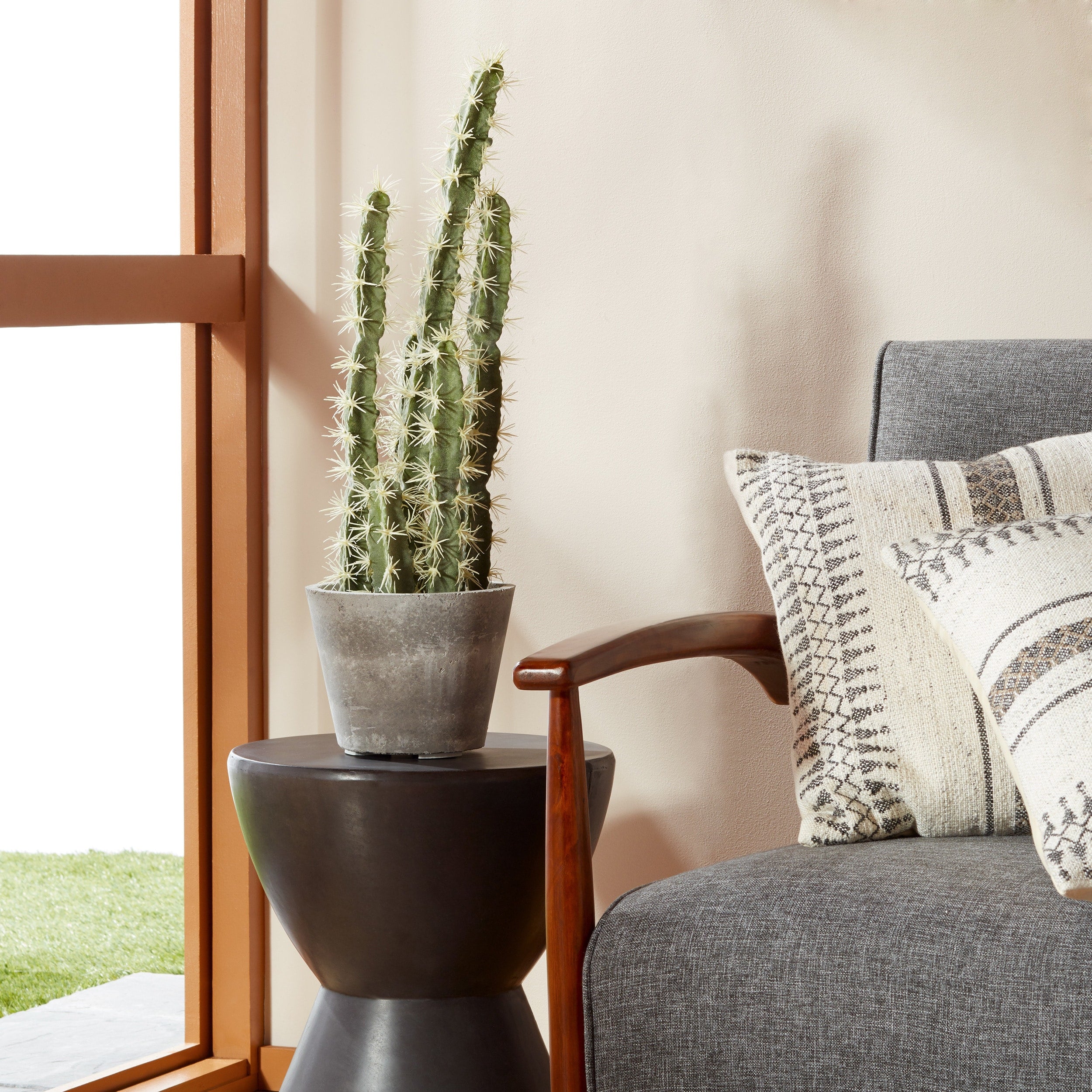 Decorative Cactus Garden With Cement Planter