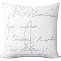 Decorative Erskine 22 Inch Poly Or Feather Down Filled Throw Pillow