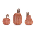 Decorative Harvest Pumpkin Set Of 3