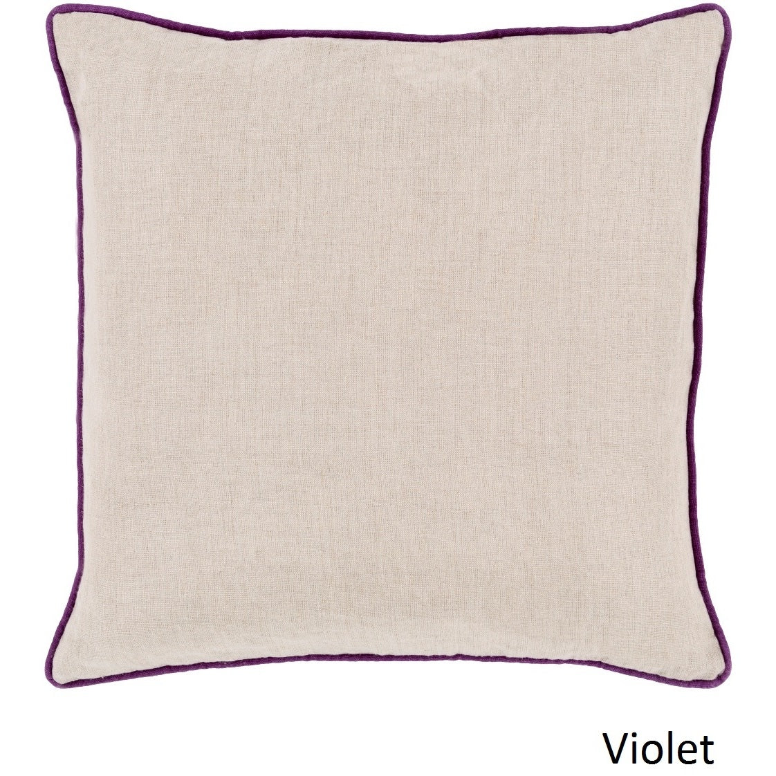 Decorative Kirwan 20 Inch Pillow Cover