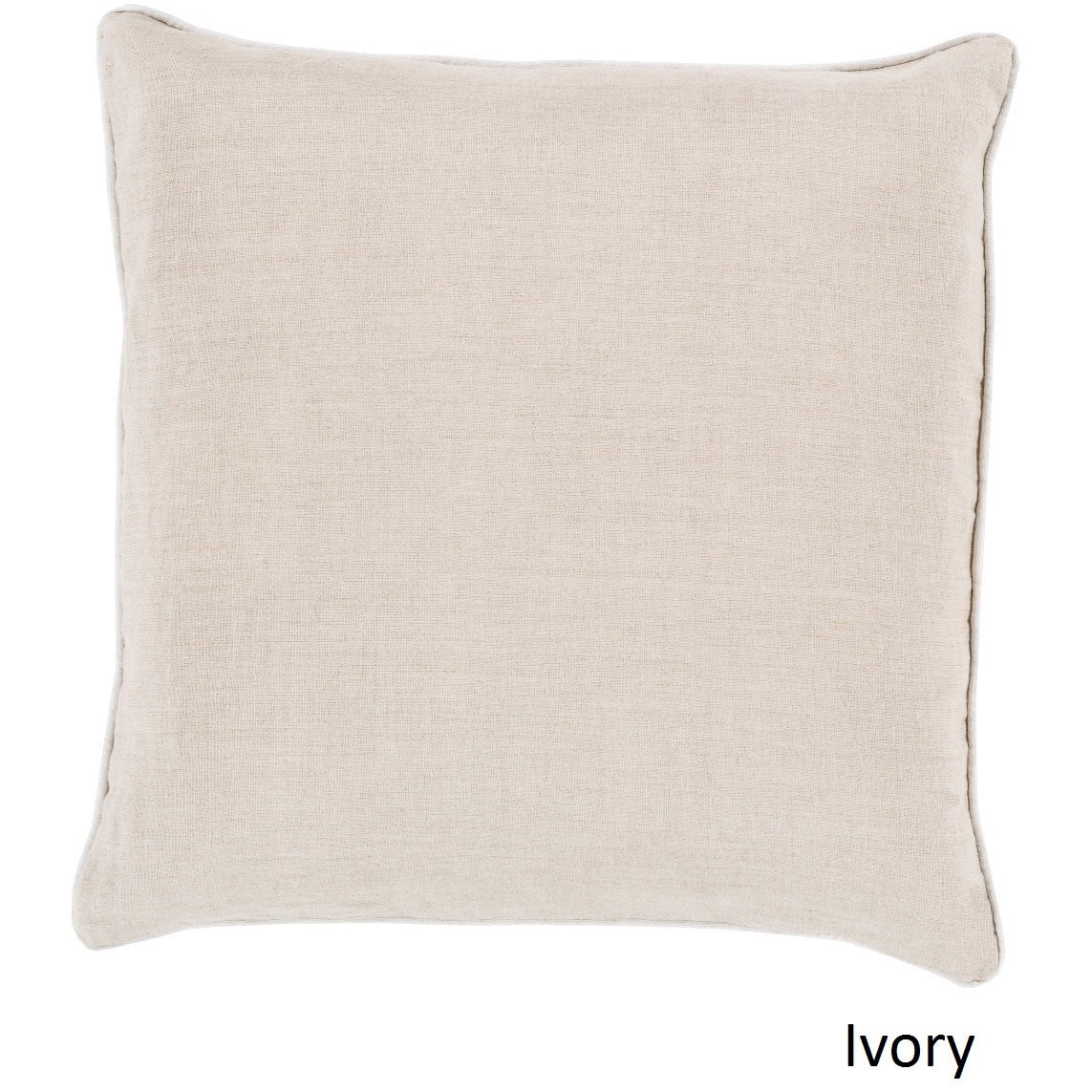 Decorative Kirwan 20 Inch Pillow Cover