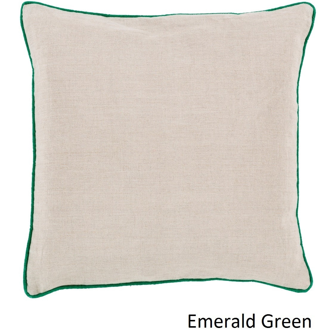 Decorative Kirwan 22 Inch Pillow Cover