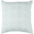 Decorative Villeurbanne Seafoam 20 Inch Throw Pillow Cover