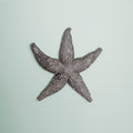 Deep Pewter Small Starfish