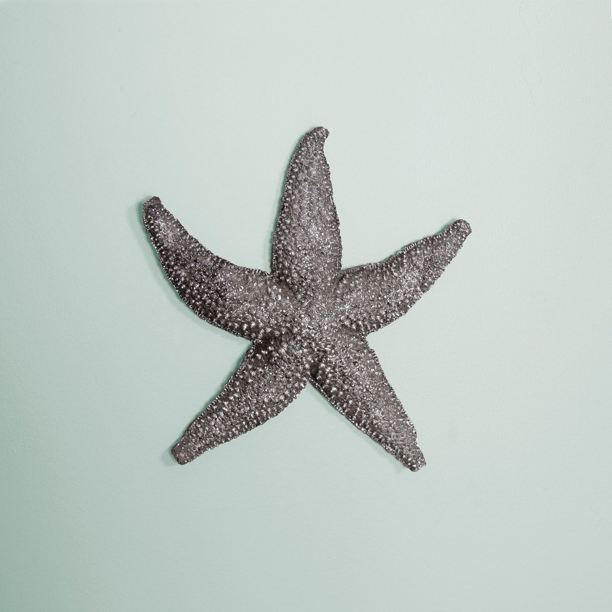 Deep Pewter Small Starfish