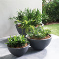 Delano Planter