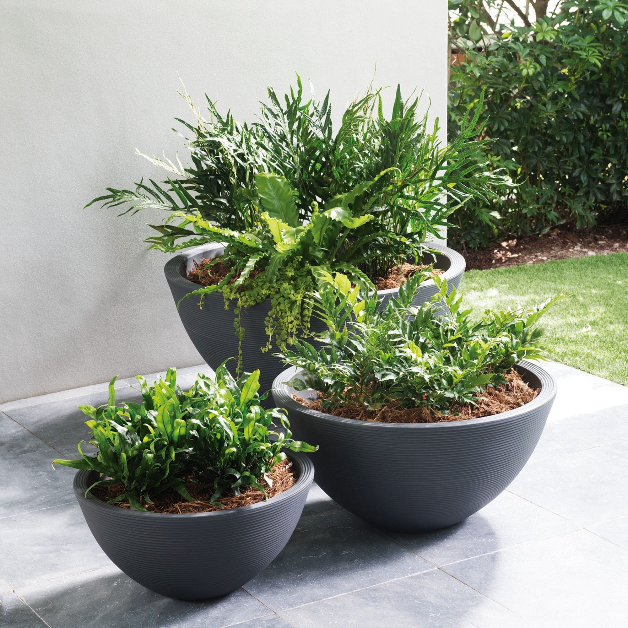 Delano Planter