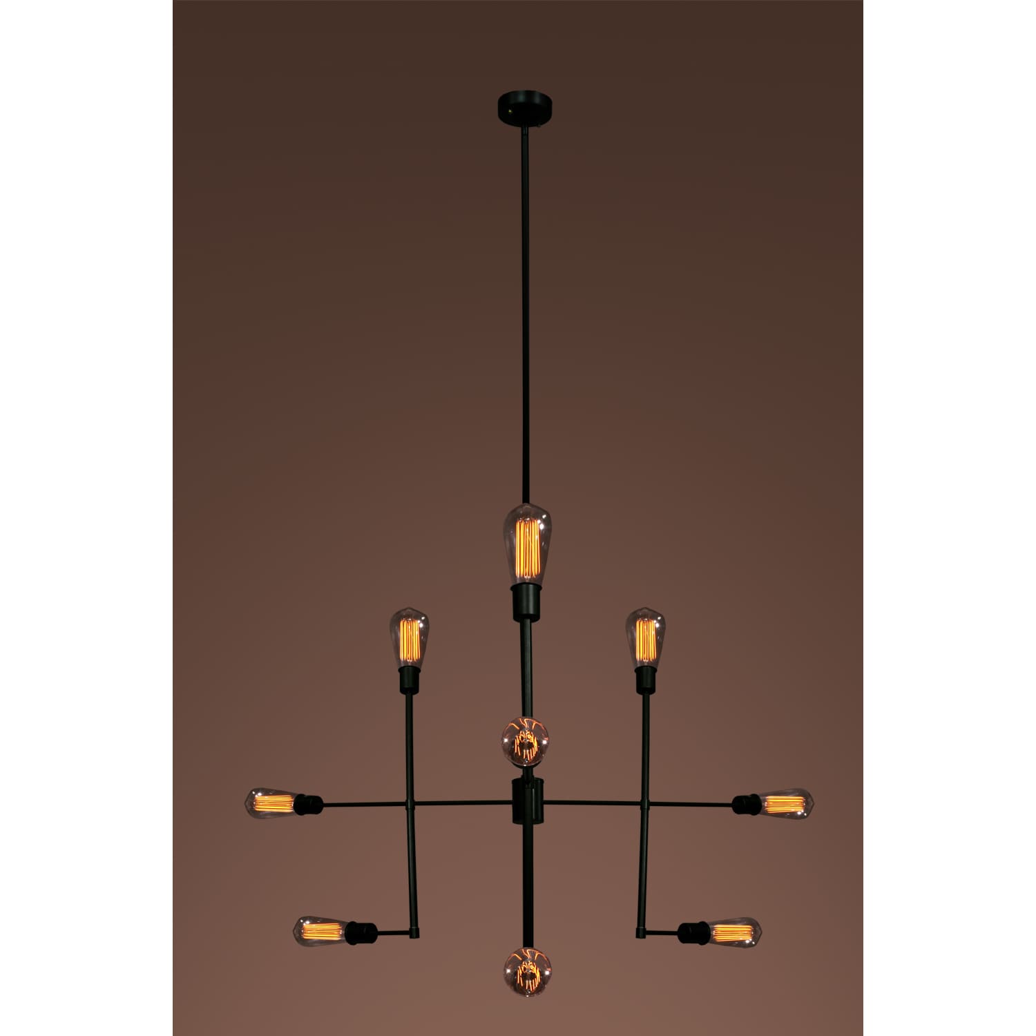 Delia 9 Light Edison Chandelier With Bulbs