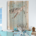 Designart Coastal Sea Life I Turtle Sketches Nautical Coastal Print On Natural Pine Wood Grey Blue