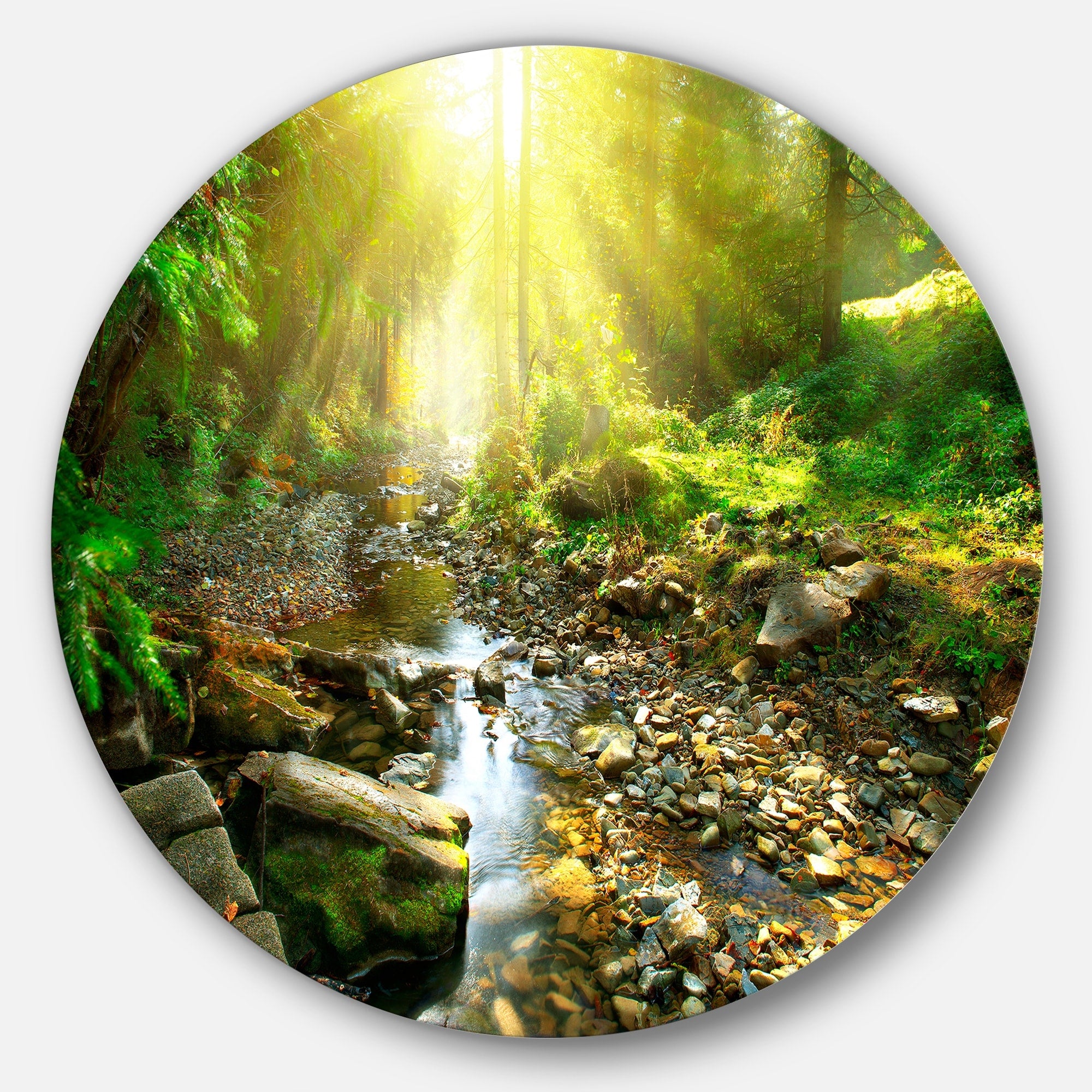 Designart Mountain Stream In Forest Landscape Photo Round Wall Art