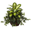 Dieffenbachia And Ivy In Decorative Planter