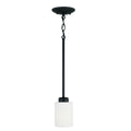 Dixon 1 Light Pendant