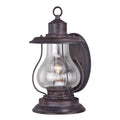 Dockside 1 Light Bronze Coastal Outdoor Wall Lantern Clear Glass 8 In W X 14.75 In H X 10.25 In D