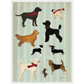 Dog Days Montage I By Ryan Fowler Framed Canvas Wall Art Print
