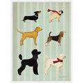 Dog Days Montage Ii By Ryan Fowler Framed Canvas Wall Art Print