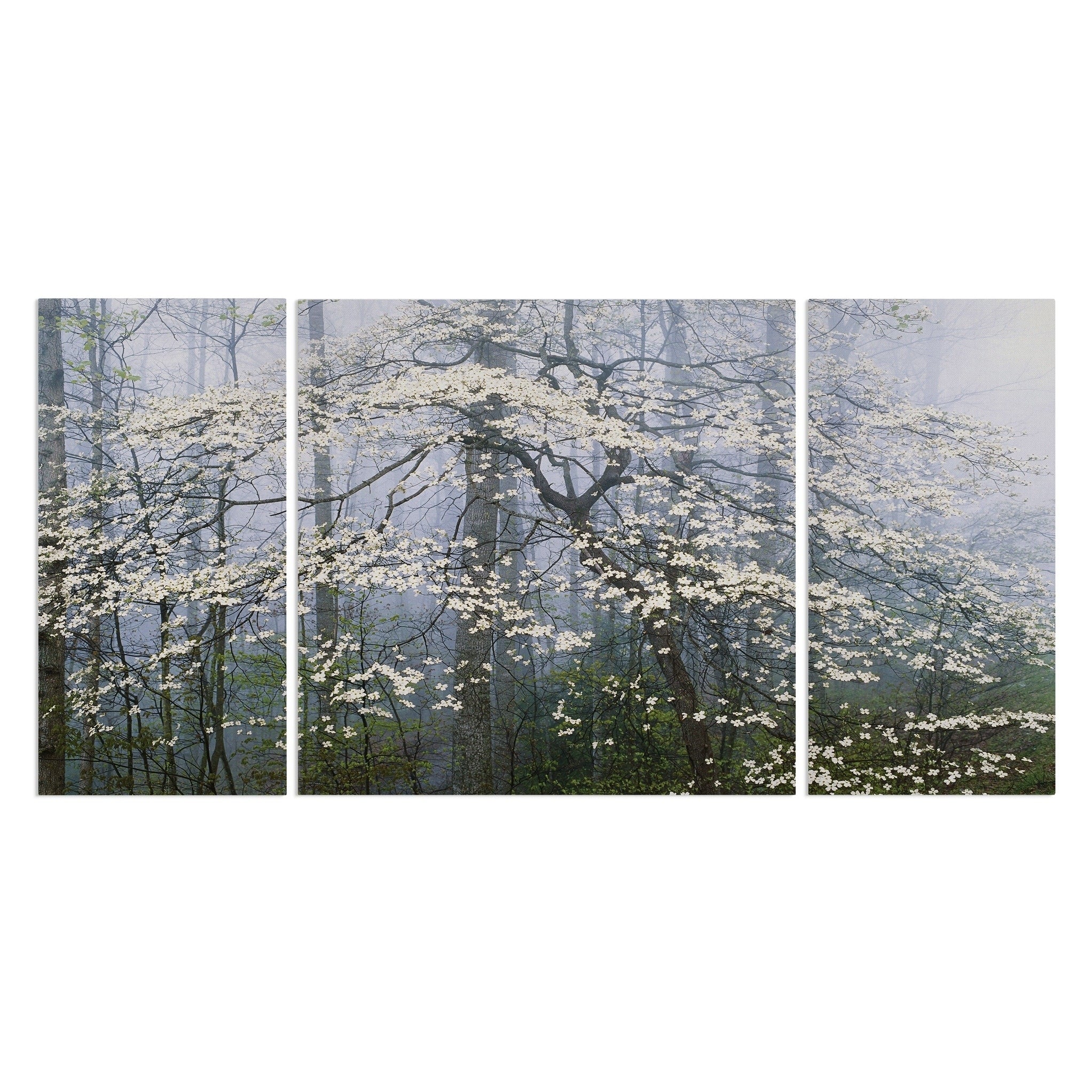 Dogwood Canopy A Premium Multi Piece Art Available In 3 Sizes