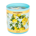 Dolce Gabbana Lemon Scented Candle 8.8 Oz