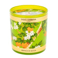 Dolce Gabbana Sicilian Orange Scented Candle 8.8 Oz