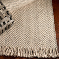 Domani Oahu Casual Oatmeal Cheveron Area Rug