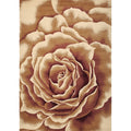 Porch Den Salina Ivory Rose Pattern Area Rug