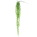 Donkey Tail String Of Pearls Succulent Hanging Greenery Spray 40In 40 L X 8 W X 4 Dp