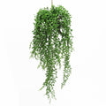 Donkeytail Berry Succulent Hanging Air Plant 20.5In Green 20.5 L X 8 W X 7 Dp