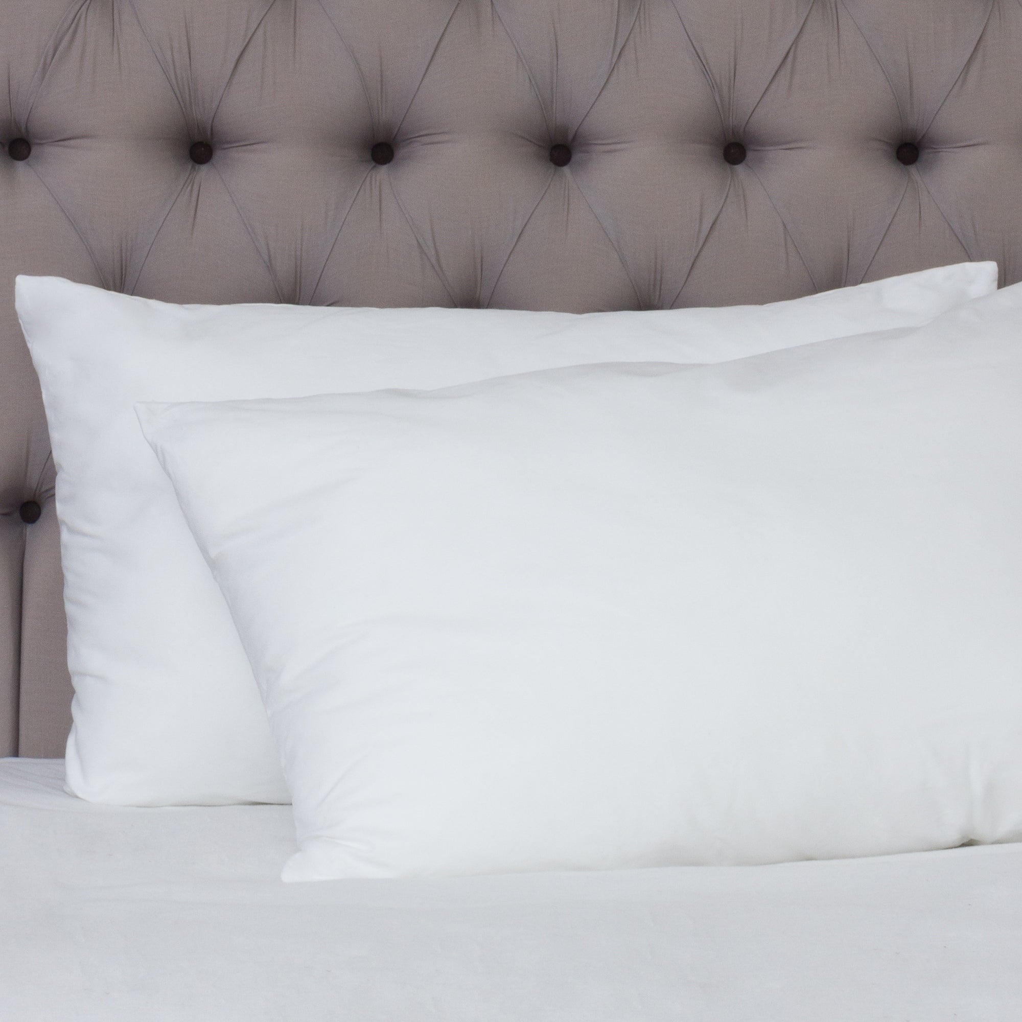 Down Alternative Sham Fillers White
