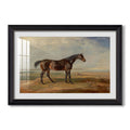 Dr Syntax A Bay Racehorse Standing C 1820 James Ward Custom Framed Print